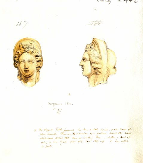 187 and 188 female heads and writing